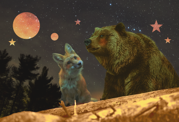 combined images of a fox, a bear and the forest with photoshop