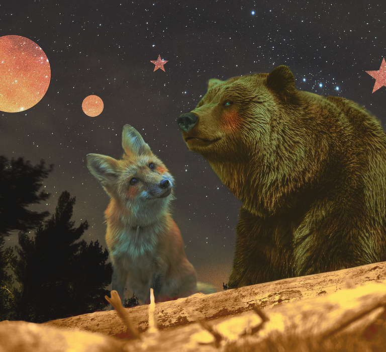 combined images of a fox, a bear and the forest with photoshop